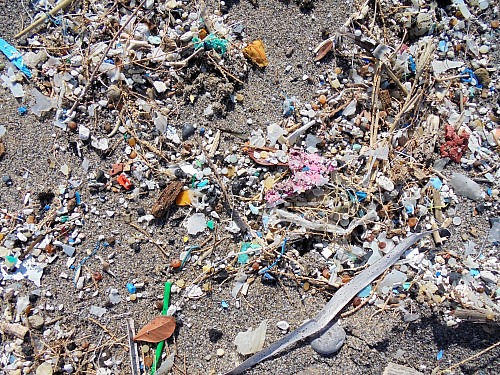 

Küste - Strand, Verschmutzung/Müll/Altlasten, Öffentlicher Bereich/Strand
